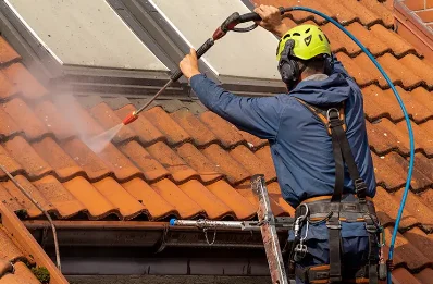 Démoussage et hydrofuge de toiture à Manglieu